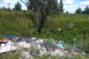 Мусор в карстовой воронке у дороги Монаково-Чудь