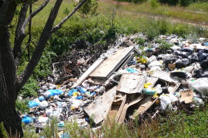 Мусор в дороги