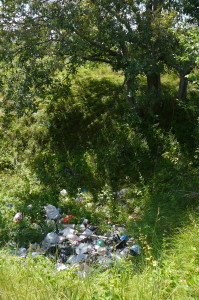 Крупная карстовая воронка с мусором у дороги Монаково-Чудь