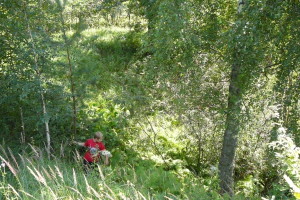 Крупная карстовая воронка у дороги Монаково-Чудь