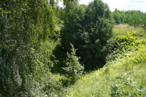 Крупная карстовая воронка у дороги Монаково-Чудь