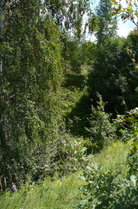 Крупная карстовая воронка у дороги Монаково-Чудь