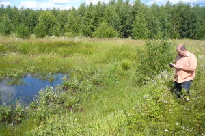 Карстовая форма с водой