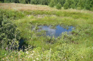 Карстовая форма с водой
